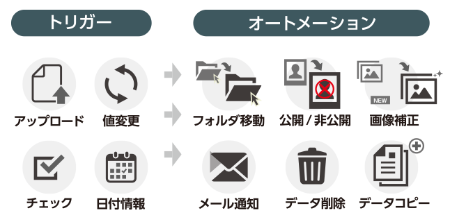 デジタルアセット管理(DAM)システム「CIERTO」:連絡通知自動化